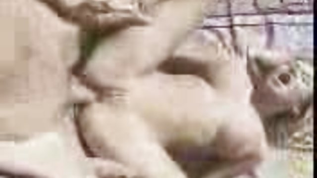 一個長長的公雞取悅一個角質的年輕女士