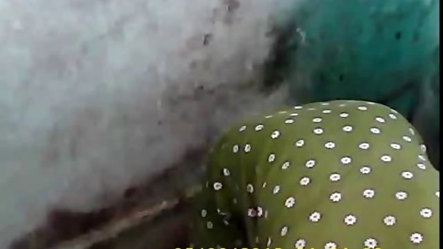 匯集巨大的天然山雀